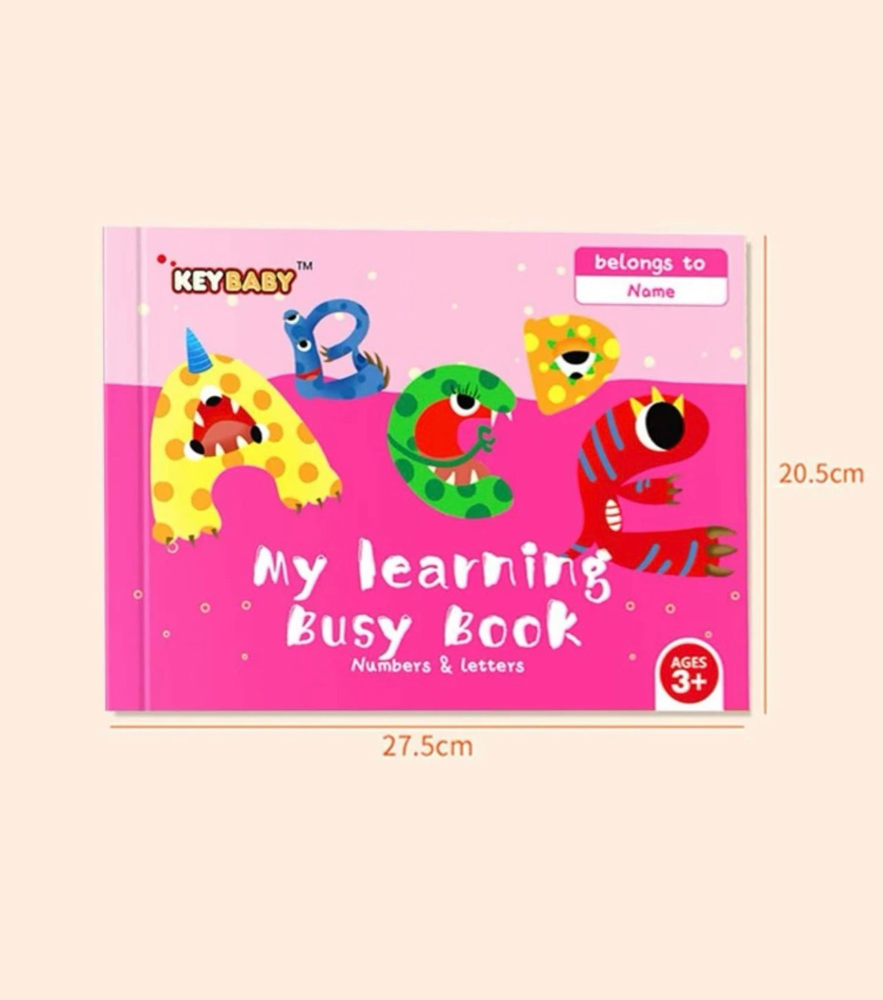 My Learning Busy Book - Numbers and Letters