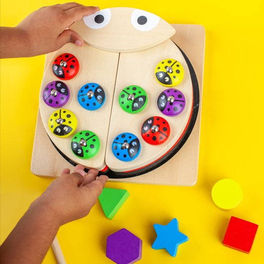 Ladybug Catch and Shapes Game