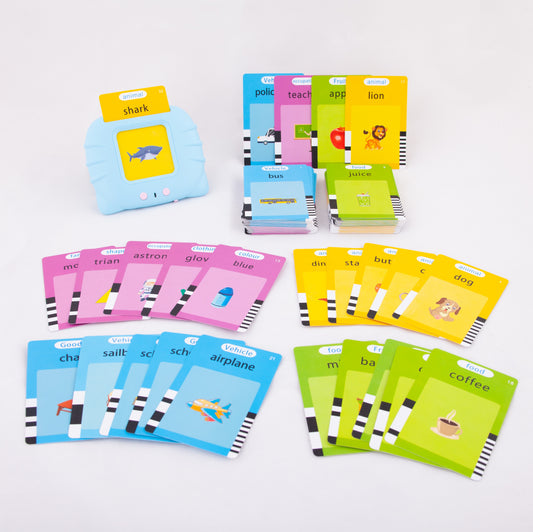 Electronic Flash Card Reader