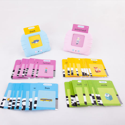 Electronic Flash Card Reader