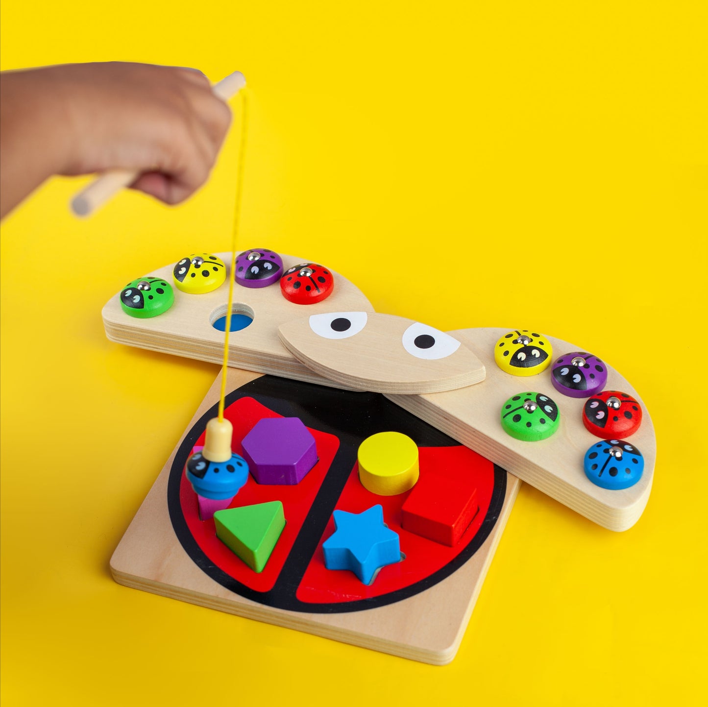 Ladybug Catch and Shapes Game